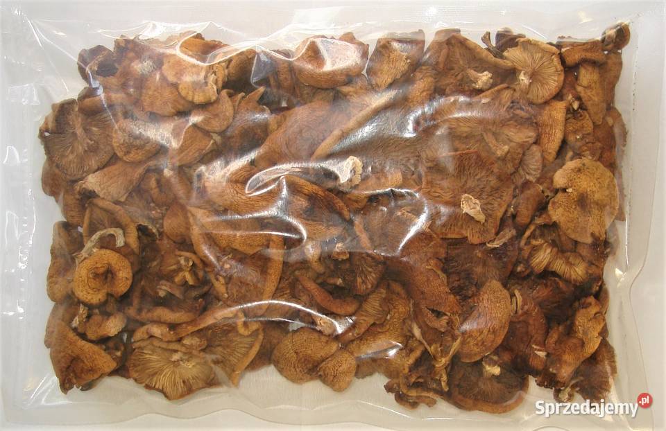 Opieńka suszona 100g 2025 warmińsko-mazurskie