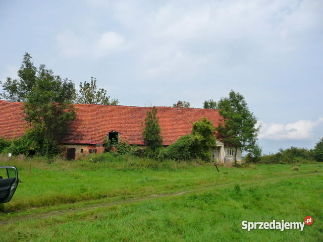 Gospodarstwo rolne zabudowania pole 598 h prąd dolnośląskie Tymowa