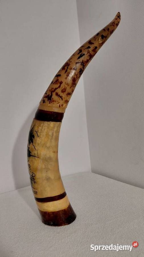 Róg Watussi Senegal Pozostałe Krzykawa