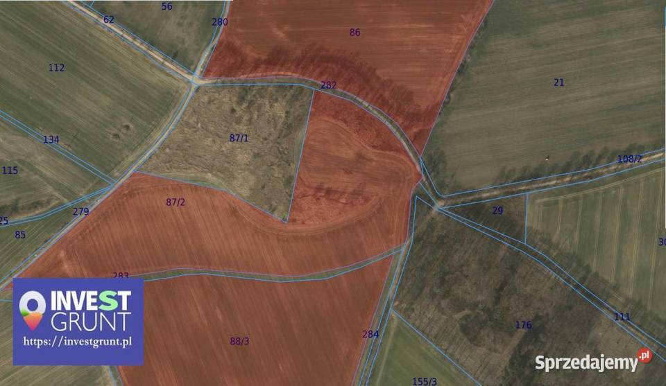 46103 ha grunty rolne przetarg na dzierżawę dolnośląskie Graniczna