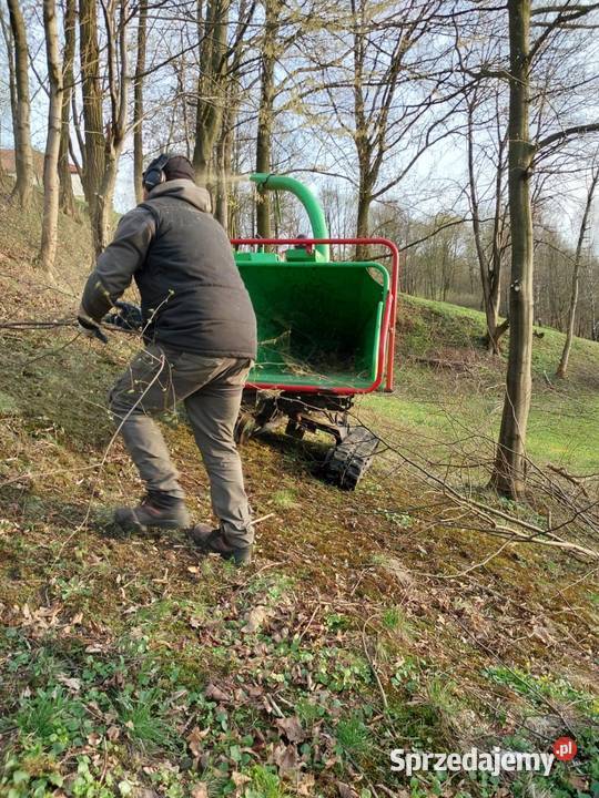 Wycinka ścinka drzew czyszczenie działek usługi Karczowanie i usuwanie drzew Brzesko