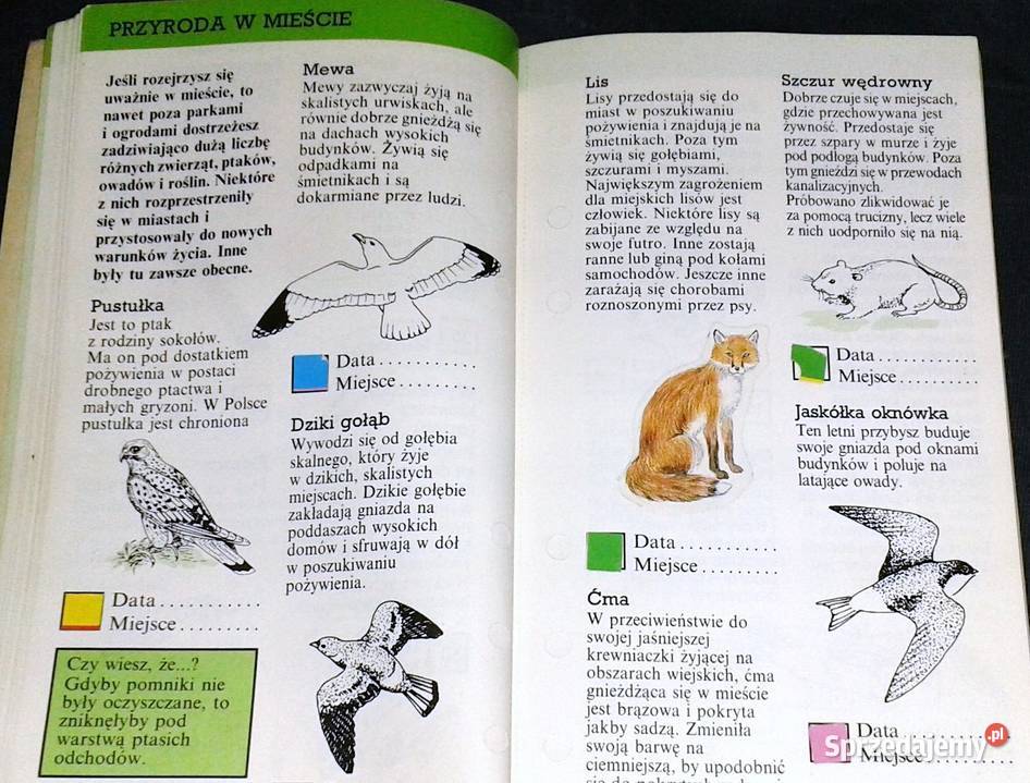 Zaobserwuj to Przewodnik przyrodzie Rosy Border Rok wydania 1991 lubelskie Chełm sprzedam