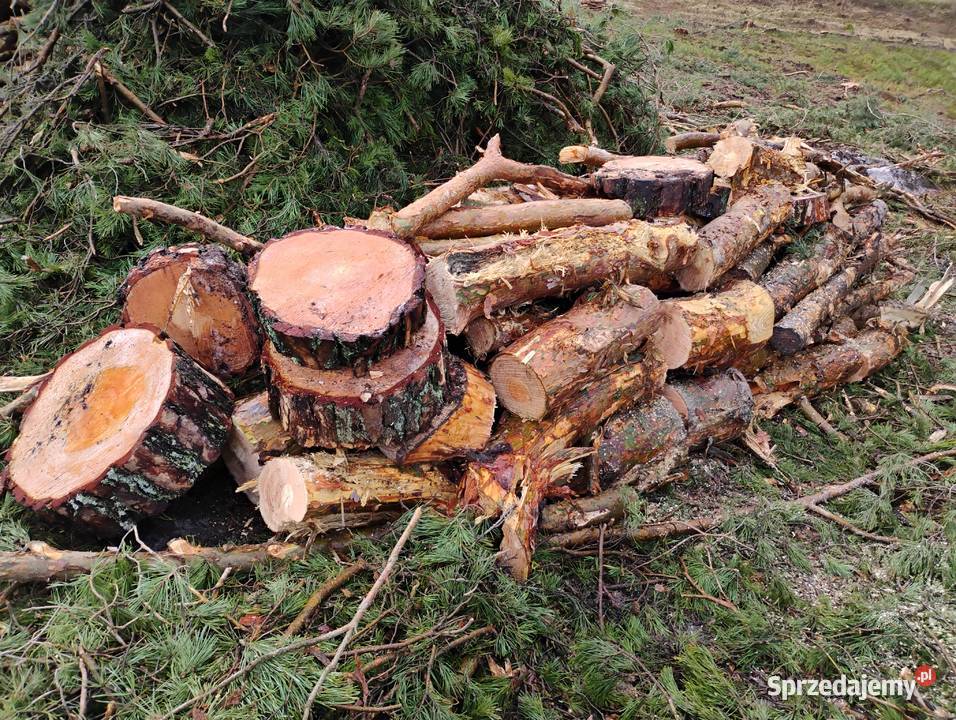 Drewno sosnowe opałowe kominkowe Brody