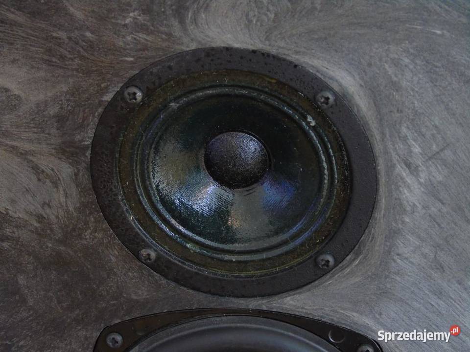 Monitory BangOlufsen Beovox P45 Ładne sprawne