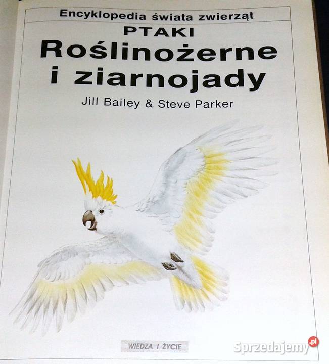 PtakiPtaki roślinożerne i ziarnojady Jill Bailey twarda Chełm
