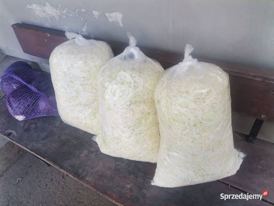 SPRZEDAM KAPUSTA SZATKOWANA SZATKA KAPUSTA