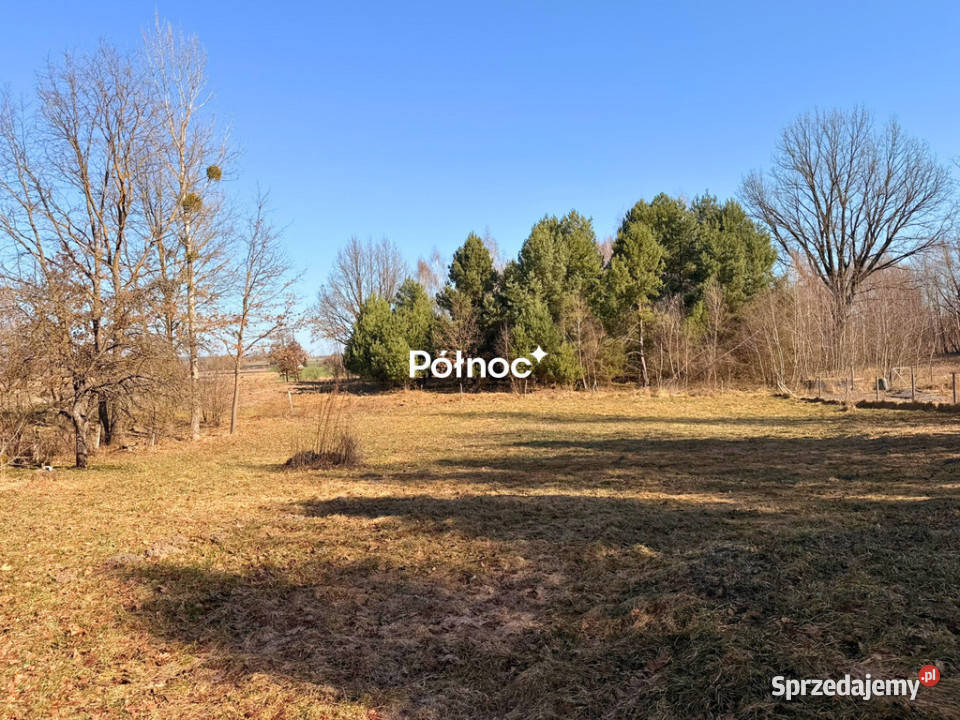 Siedlisko z lasem Ruda Kolonia 5min d0