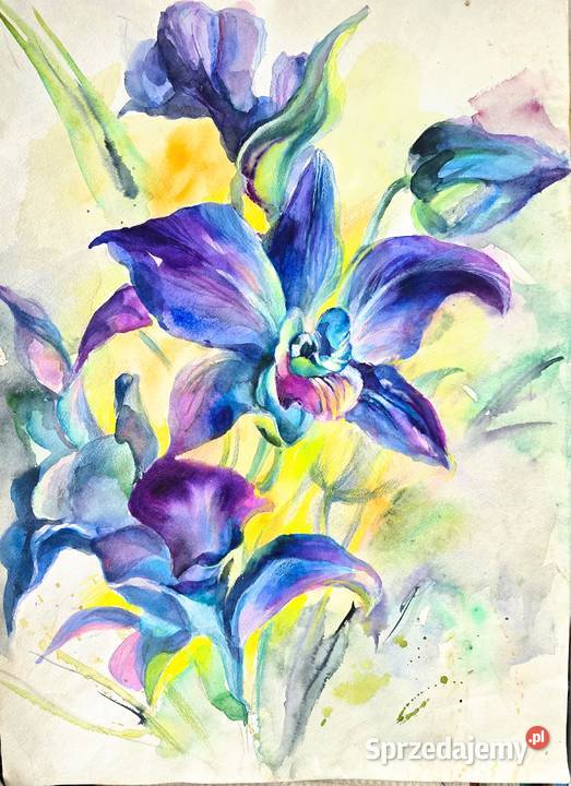 Akwarele oryginalne kwiaty różny rozmiar Warszawa