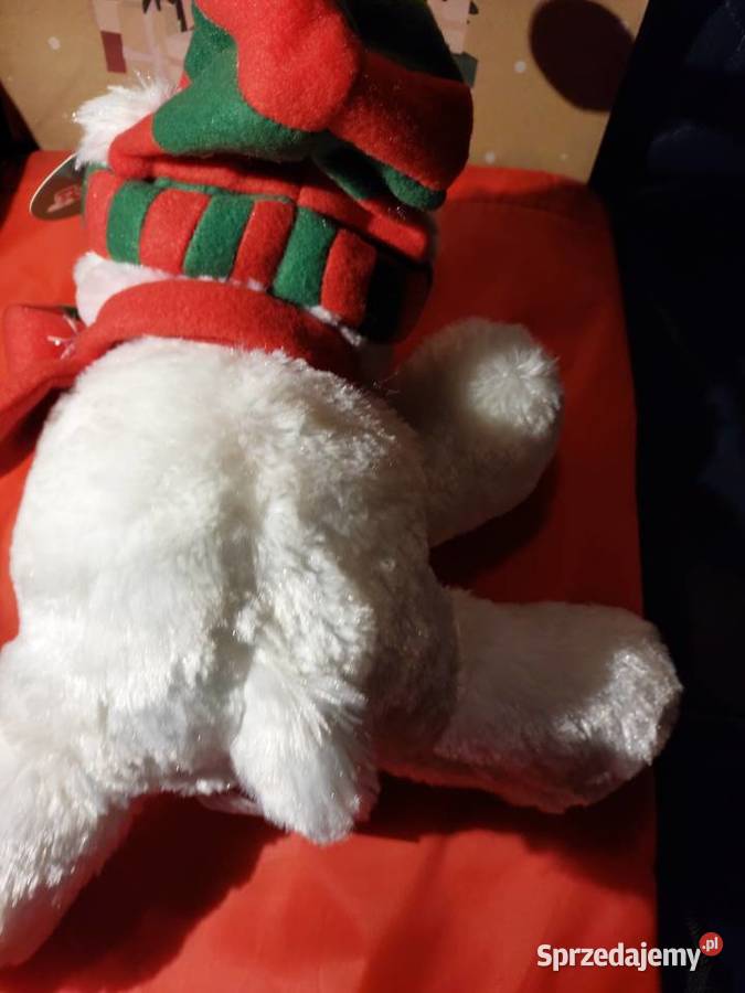 Miś biały w czapce i szaliku Wrocław