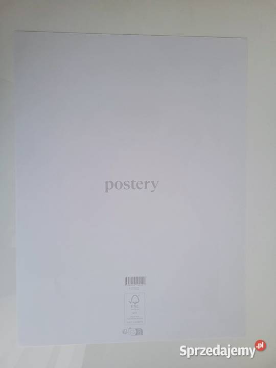 Plakat 30 x 40 monstera rośliny małopolskie