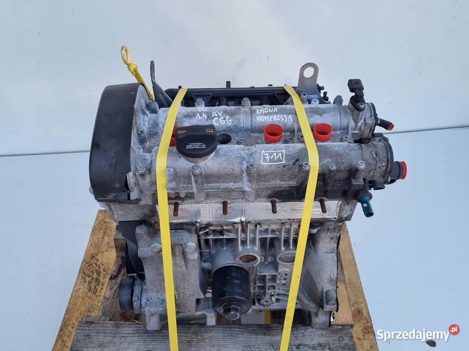 SILNIK KOMPLET VW Polo V 14 16V 80 test CGG CGGA Janów sprzedam