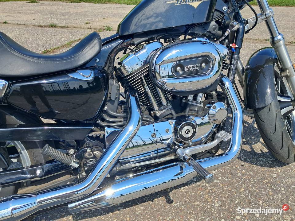 Harley Davidson XL 1200 Sportster wielkopolskie Chocz