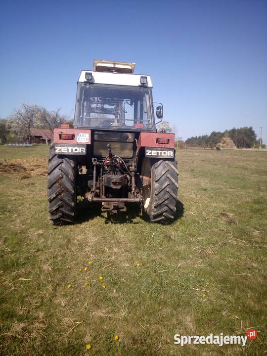 Zetor 8145 zts z turem igła sprzedam