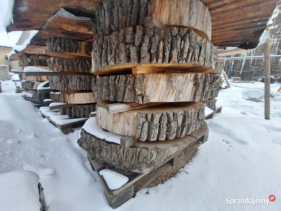 Plastry Foszty Drewno pod żywicę Dzikowiec