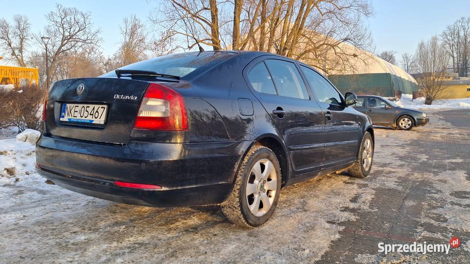 Skoda Octavia hatchback 2 lift 19 TDI 105 warmińsko-mazurskie Kętrzyn sprzedam