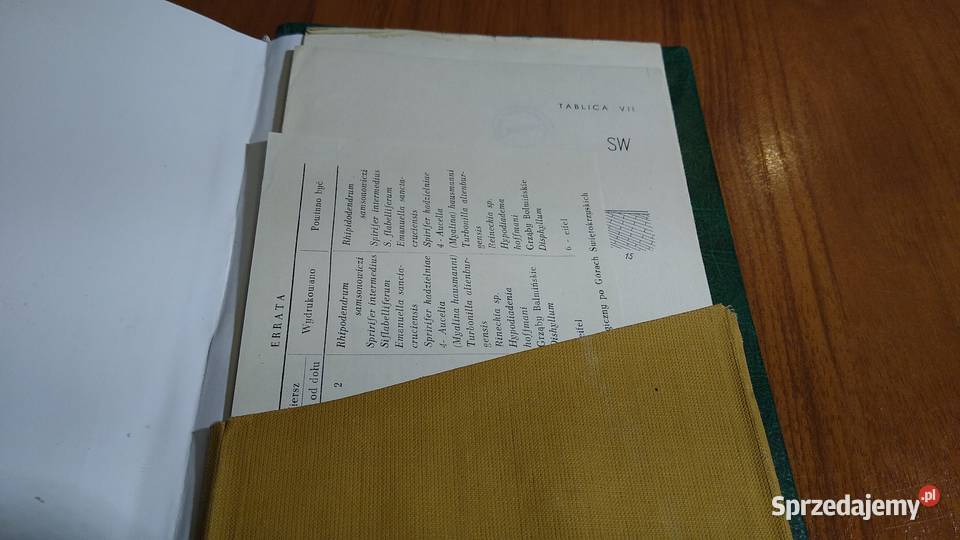 Przewodnik geologiczny Górach Świętokrzyskich 1 Gdańsk sprzedam