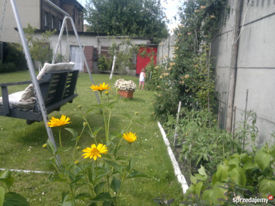ogródek działkowy