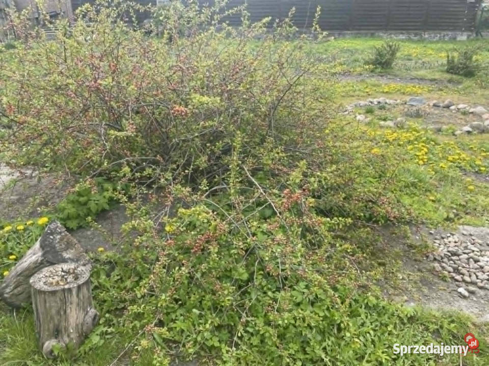 Działkę sprzedam 623m2 Białystok inwestycyjna