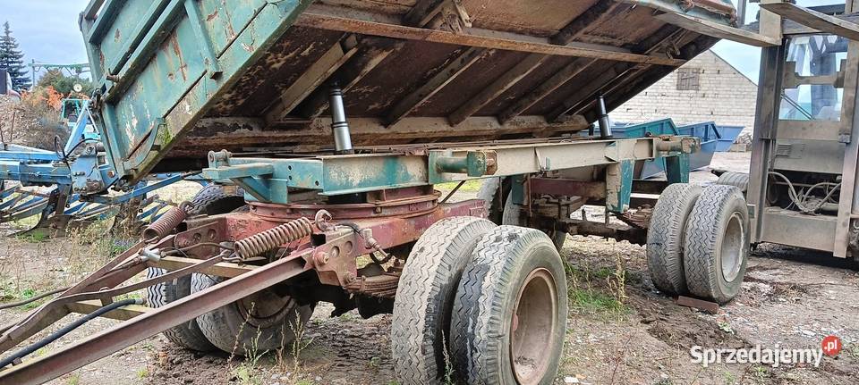 Bradystka BBS 5m24m Panaw Kutno