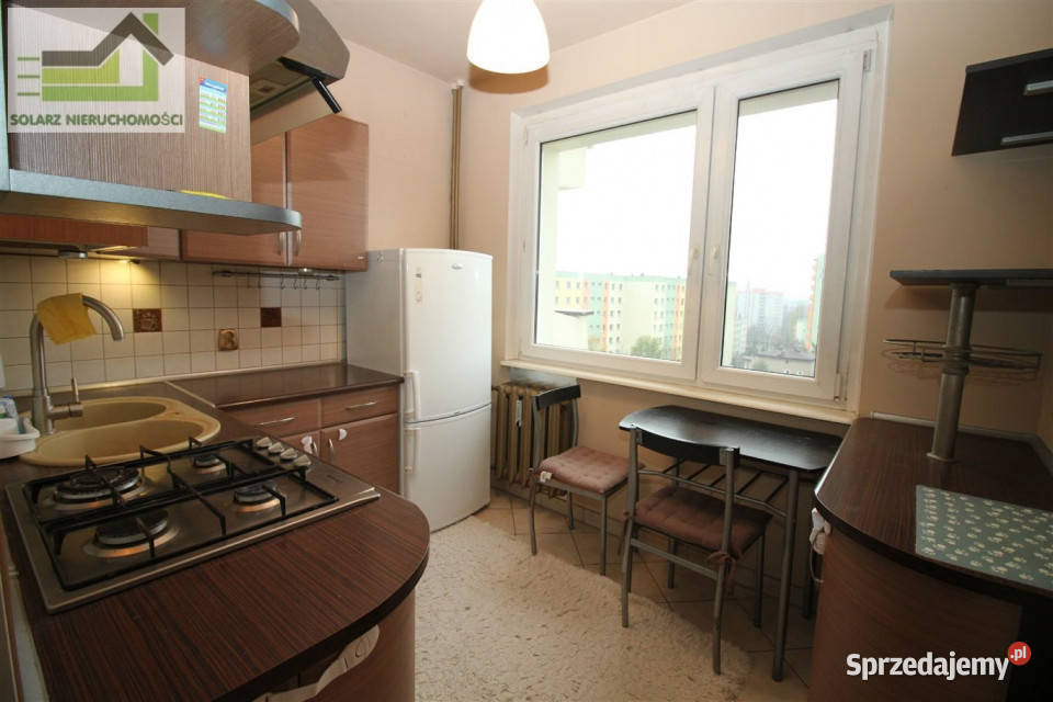 sprzedaży mieszkania Sosnowiec Narutowicza 49 sprzedam