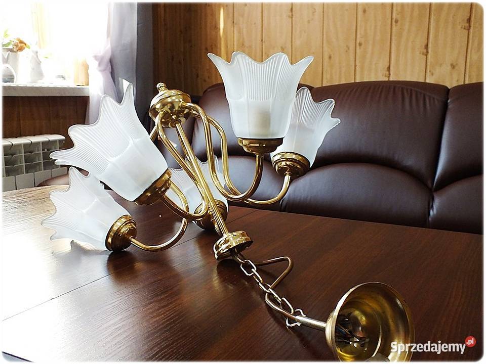 Złoty Żyrandol 5 ramienny Tulipany Lampa wisząca Lampy wiszące Żary