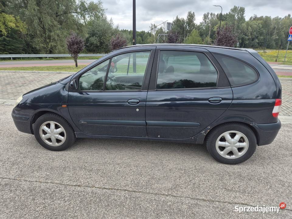 Sprzedam Renault Scenic Skopanie