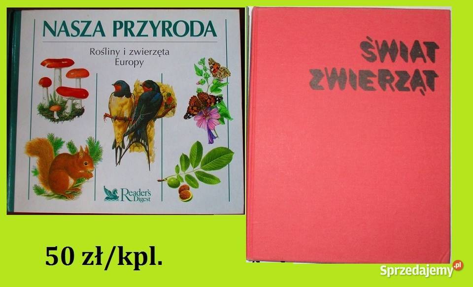 Nasza przyroda Świat zwierząt przyroda biologia Łódź