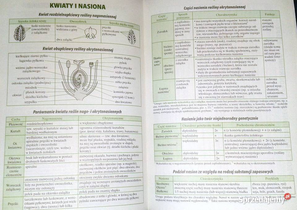 Biologia Małe tablice W Mizerski B Bednarczuk lubelskie Chełm