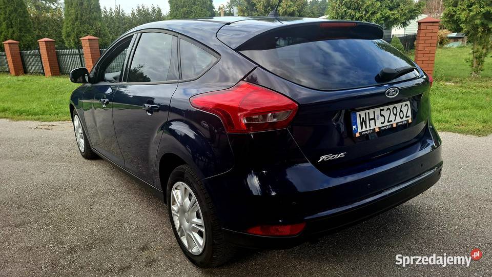 ford focus 2015 SALON 16 duratec Hatchback Góra Kalwaria