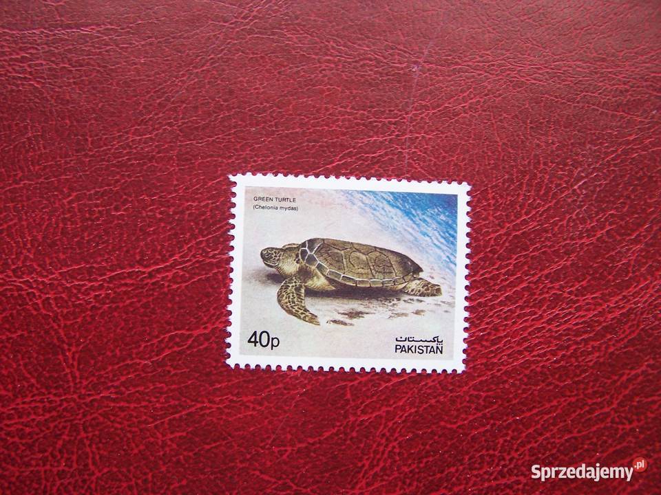 Pakistan 1981 MNH Mi 548 Fauna Gady Żółw Tychy sprzedam