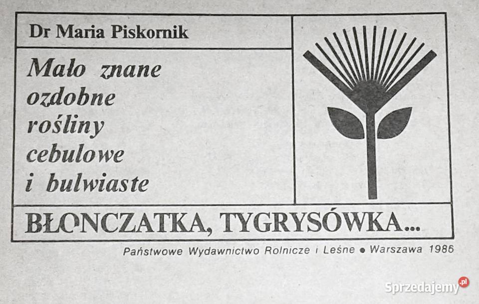 Mało znane ozdobne rośliny cebulowe i bulwiaste lubelskie Chełm