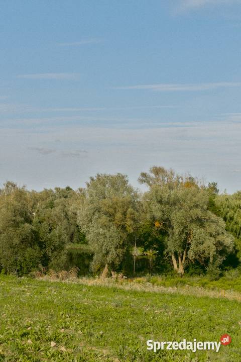 Działka jeziorem z linią brzegową i bezterminową Grunty i działki Trąbin-Rumunki
