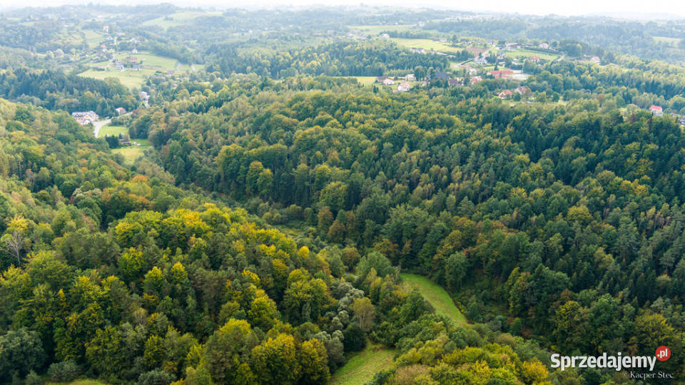 Działka rolnoleśna w Jodłówce Tuchowskiej Jodłówka Tuchowska sprzedam