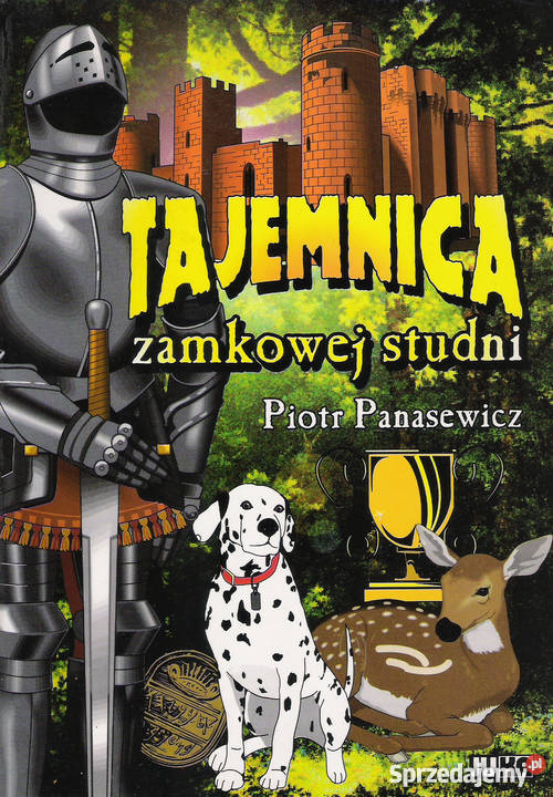 Tajemnica zamkowej studni P Panasewicz Puławy sprzedam