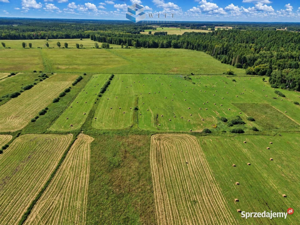 Działka Liwa 31400m2 3zł/m2 warmińsko-mazurskie