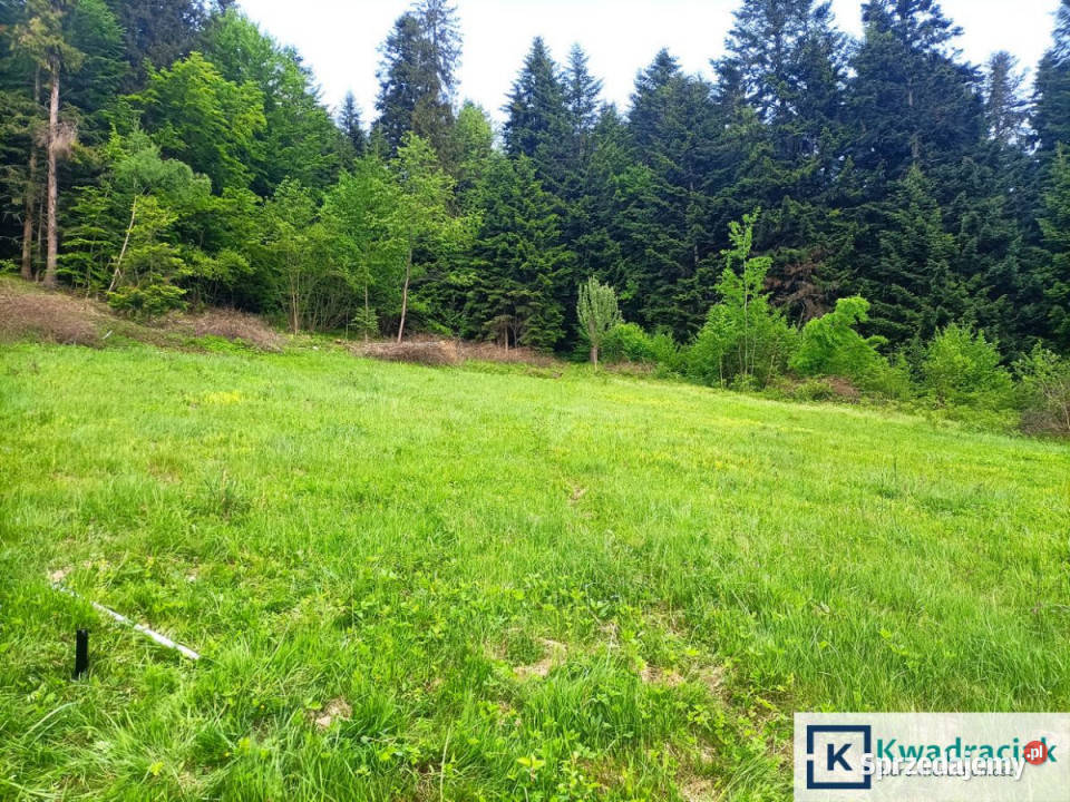 sprzedaży działki Zawóz 4214m2 sprzedam