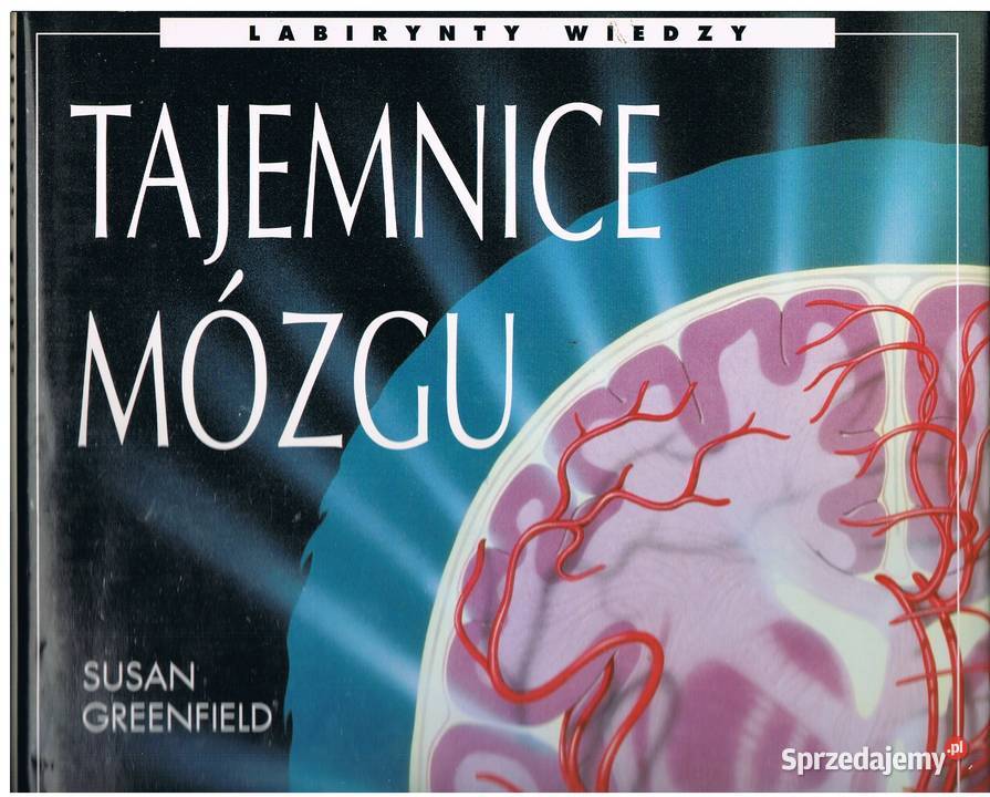 Tajemnice mózgu sprzedam