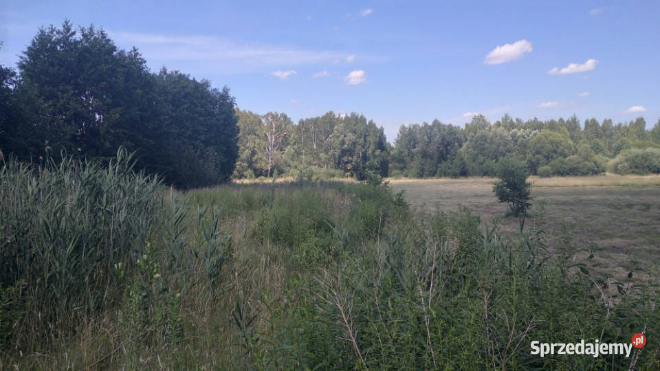 Sprzedam działkę Białystok 3193m Osiedle Zagórki 109zł/m2