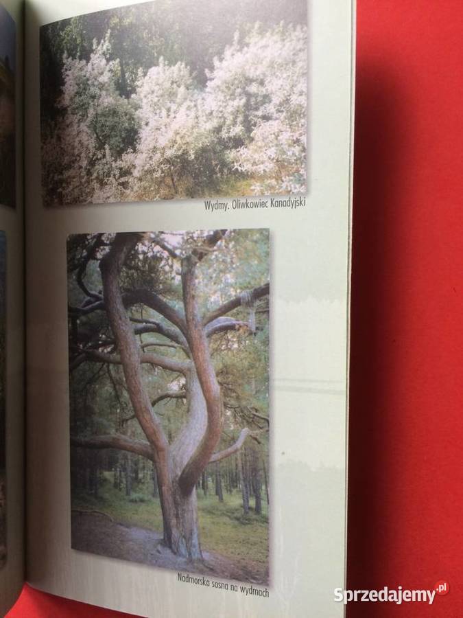 399 Przyroda Pomorskich Wysp Szczecin