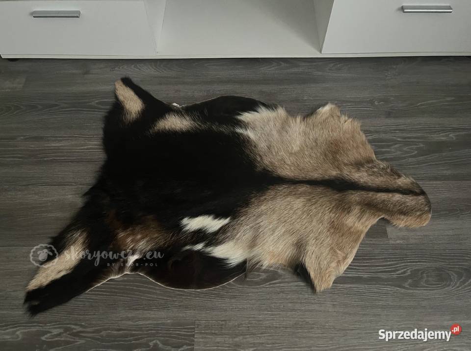 Unikatowa naturalna skóra kozia multicolor Skóry Szaflary