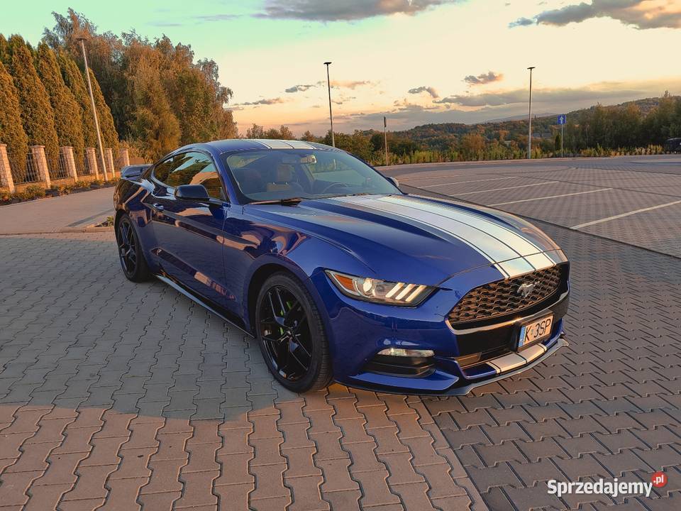 Ford Mustang zadbany