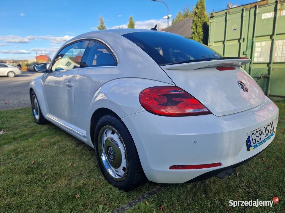 VOLKSWAGEN Beetle Sportowy / Coupe Kartuzy sprzedam
