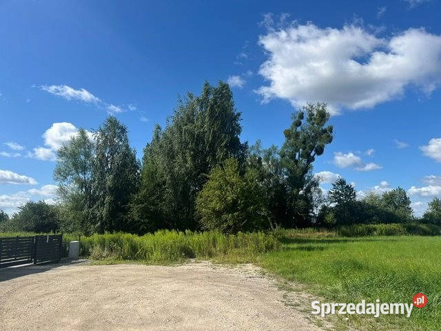 Grunt sprzedam Kryniczno 1800m2 dolnośląskie