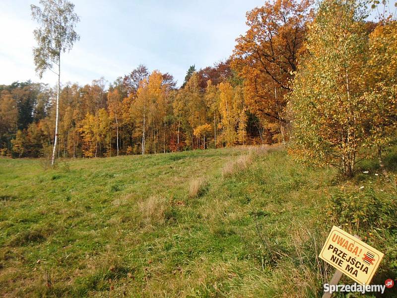 Na sprzedaż działki w Sudetach, Bieganów, Nowa Ruda Sprzedajemy.pl