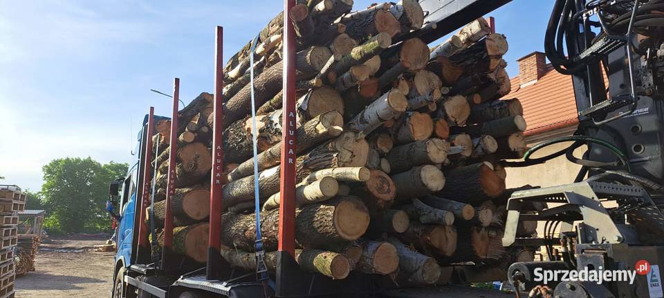 drewno kłody buk dąb jesion Jelenia Góra sprzedam