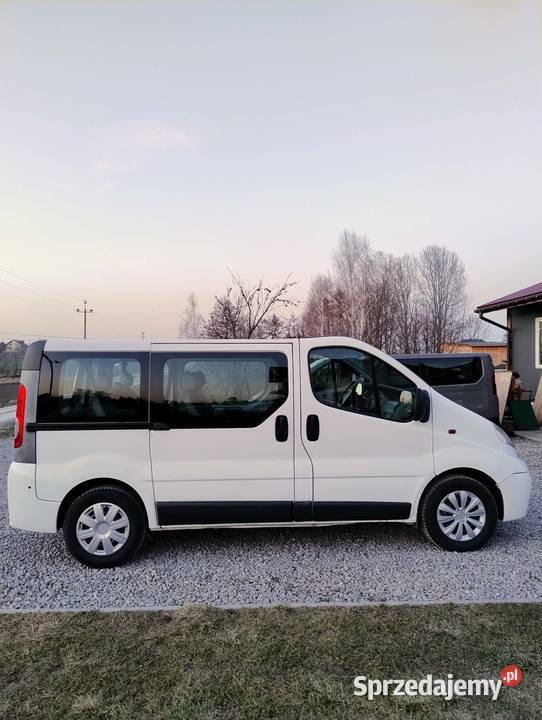 Opel Vivaro Rok produkcji 2008 Przeworsk