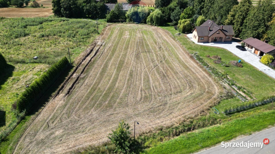 Działka siedliskowa Cedry MałeGdańskTrójmiasto 50m