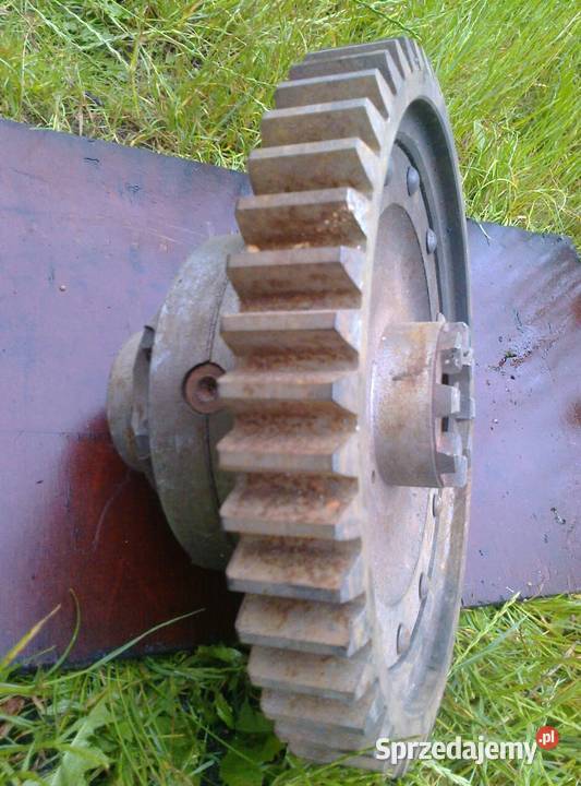 mechanizm różnicowy do bizona