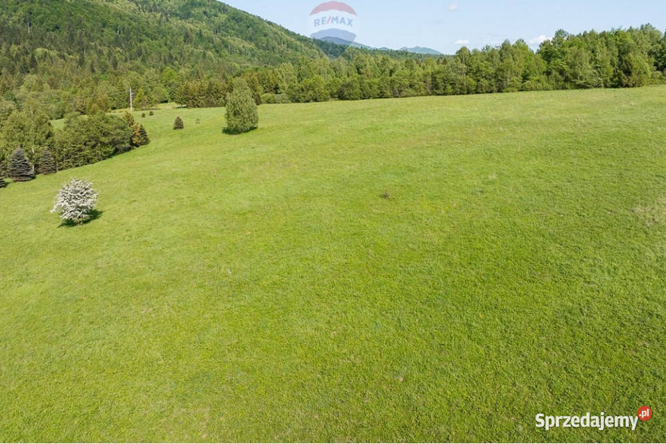 Okazja Duża działka w sercu Bieszczad 6Ha 118m podkarpackie