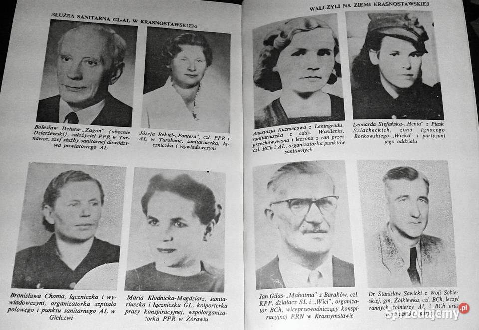 Czerwone opłotki Stanisław Lisik Chełm sprzedam